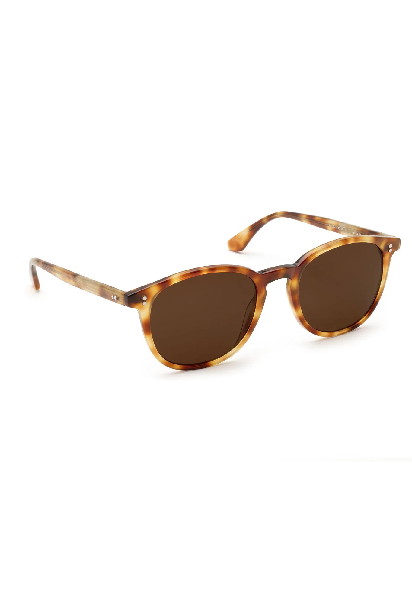 ALVIN | Hawksbill Polarized