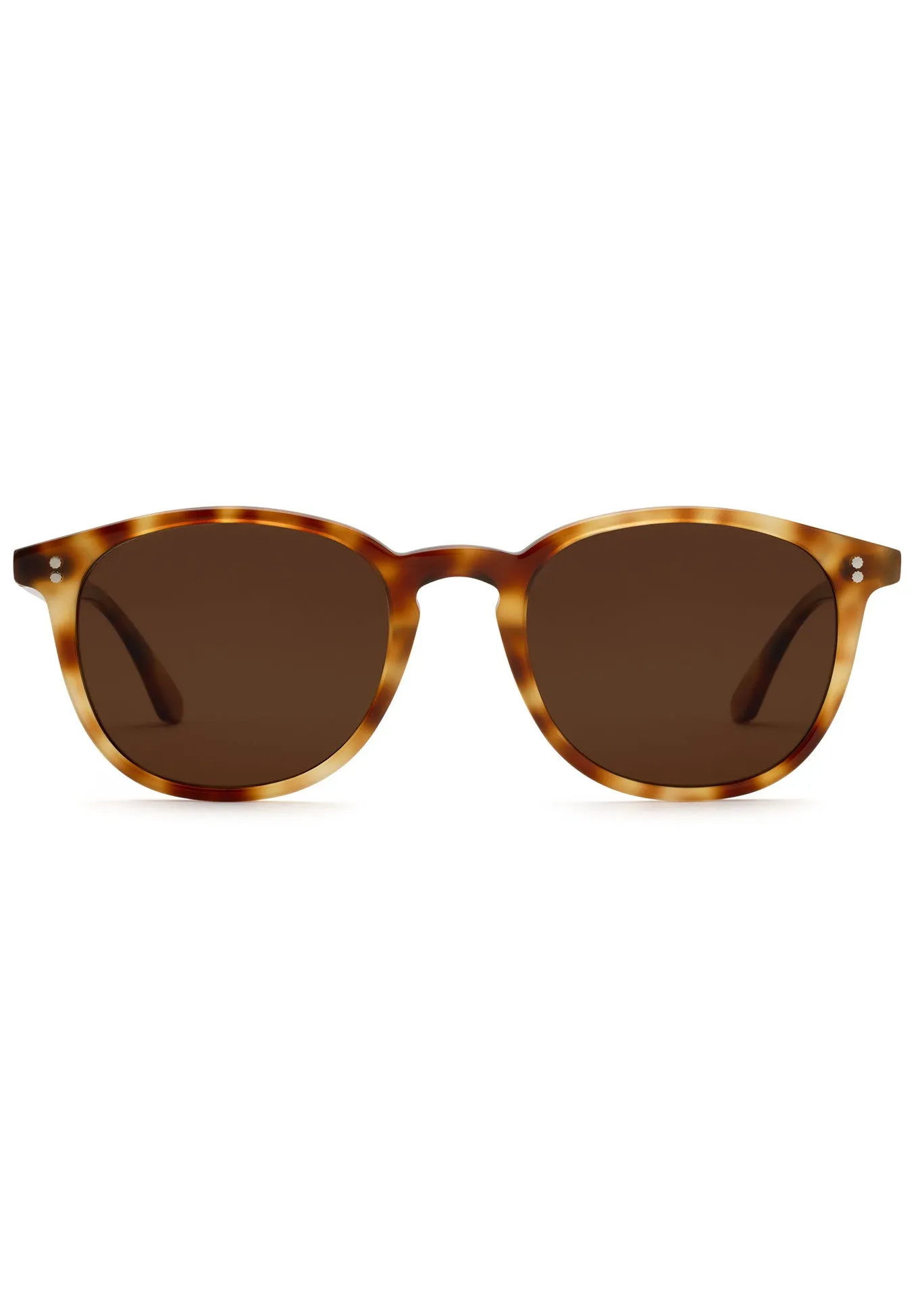 ALVIN | Hawksbill Polarized