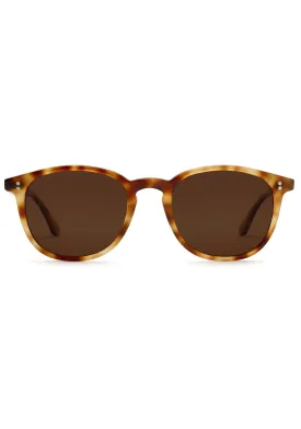 ALVIN | Hawksbill Polarized