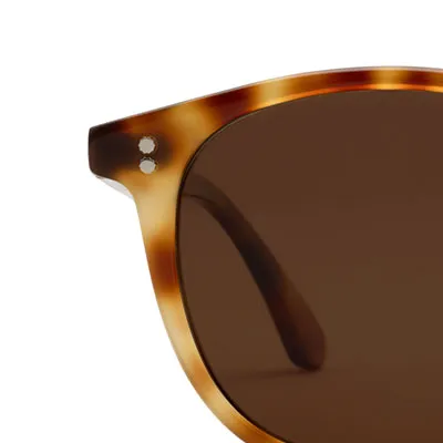 ALVIN | Hawksbill Polarized