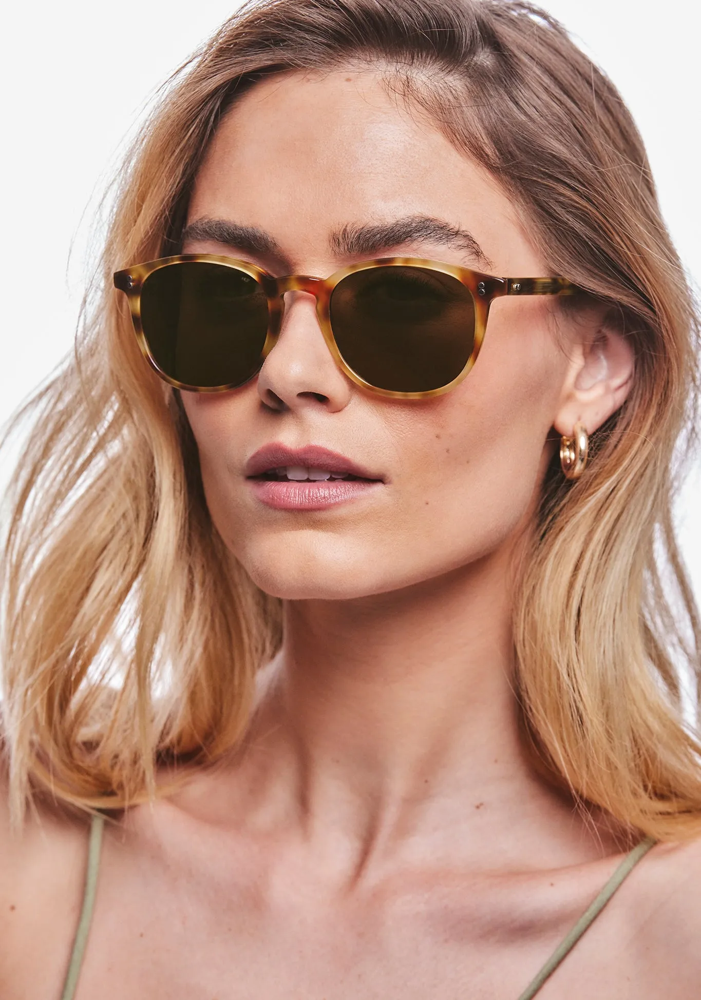 ALVIN | Hawksbill Polarized
