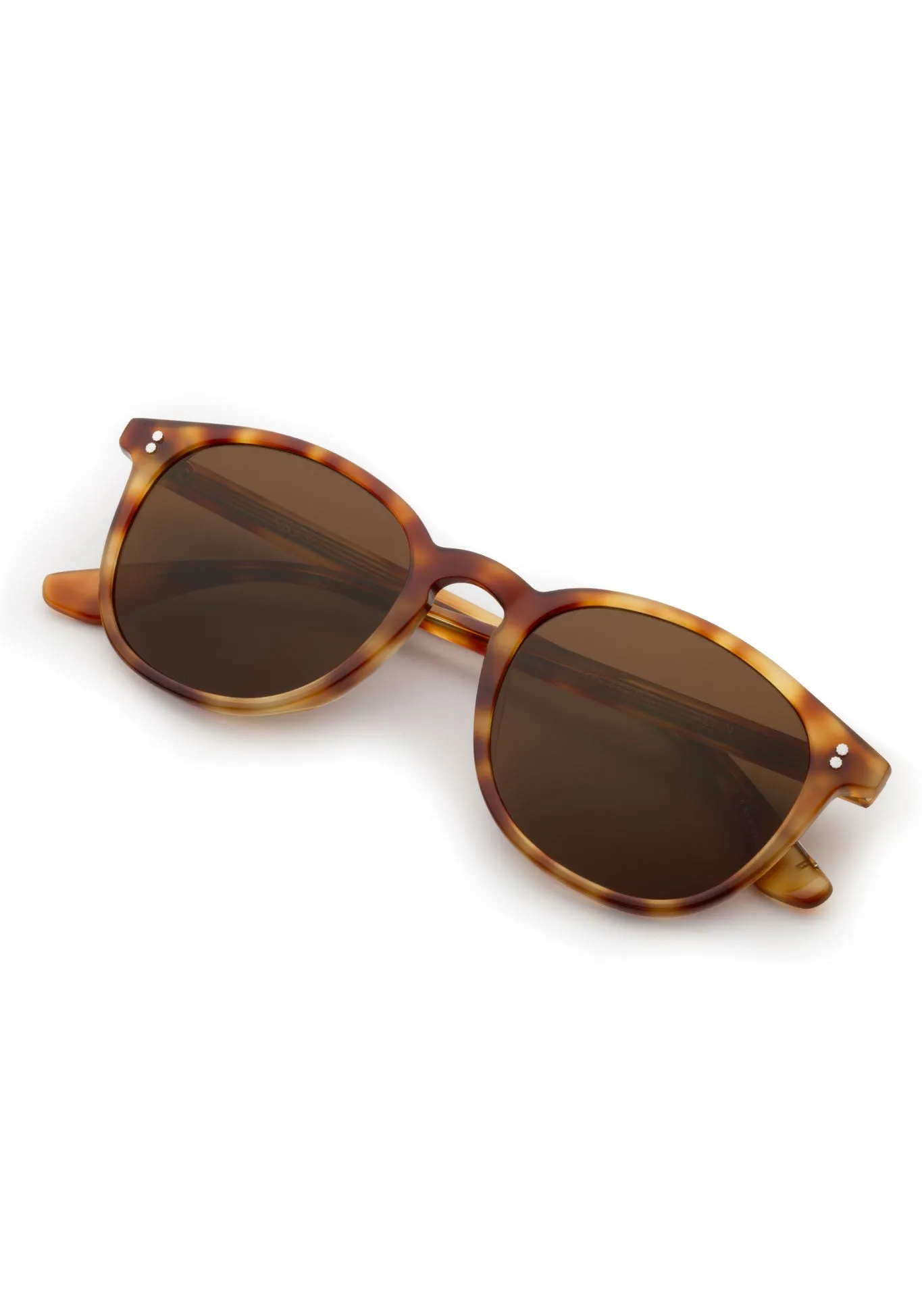 ALVIN | Hawksbill Polarized